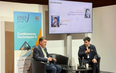 Et si la flexibilité électrique finançait l’energy management ?